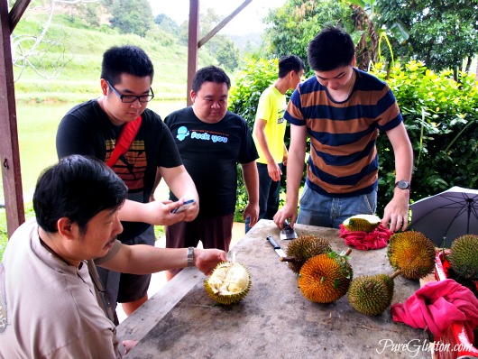 open durians